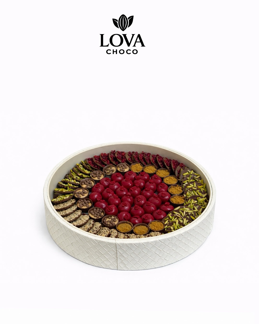 63e1ecc2-c7df-4f04-b05b-e7c52a012e9f